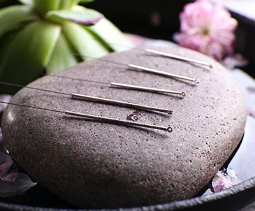 Acupuncturist-2