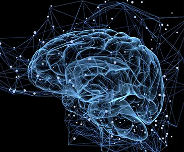 Neurosurgury 3