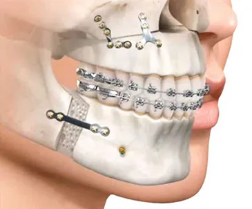 Oral-&-Maxillofacial-Surgeon-3 (1)